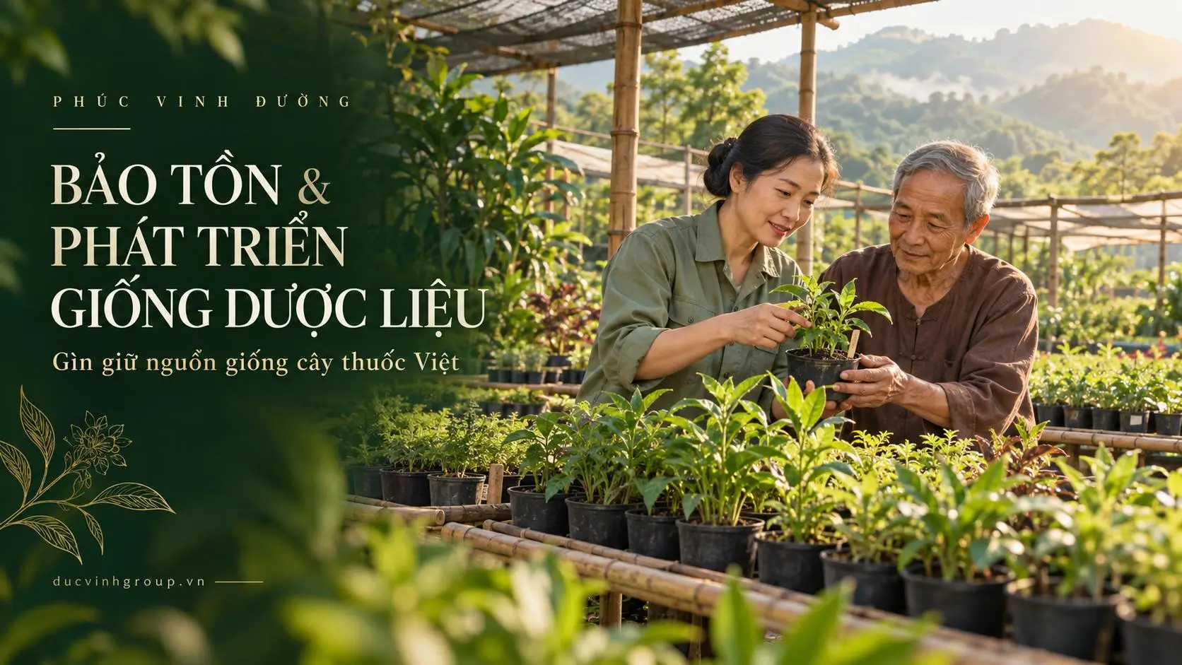 Bảo Tồn & Phát Triển Giống Dược Liệu